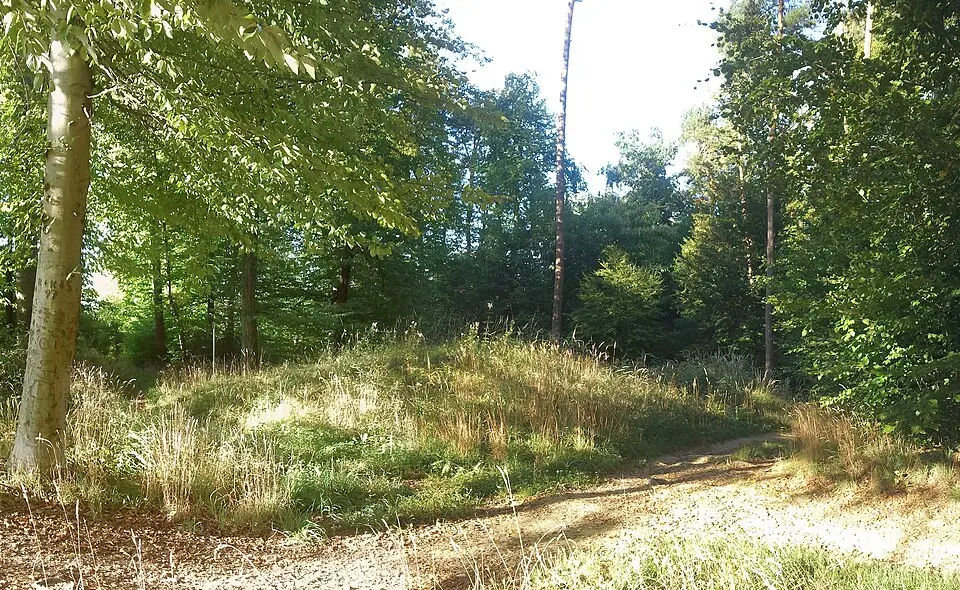 Hügelgräber im Leechwald