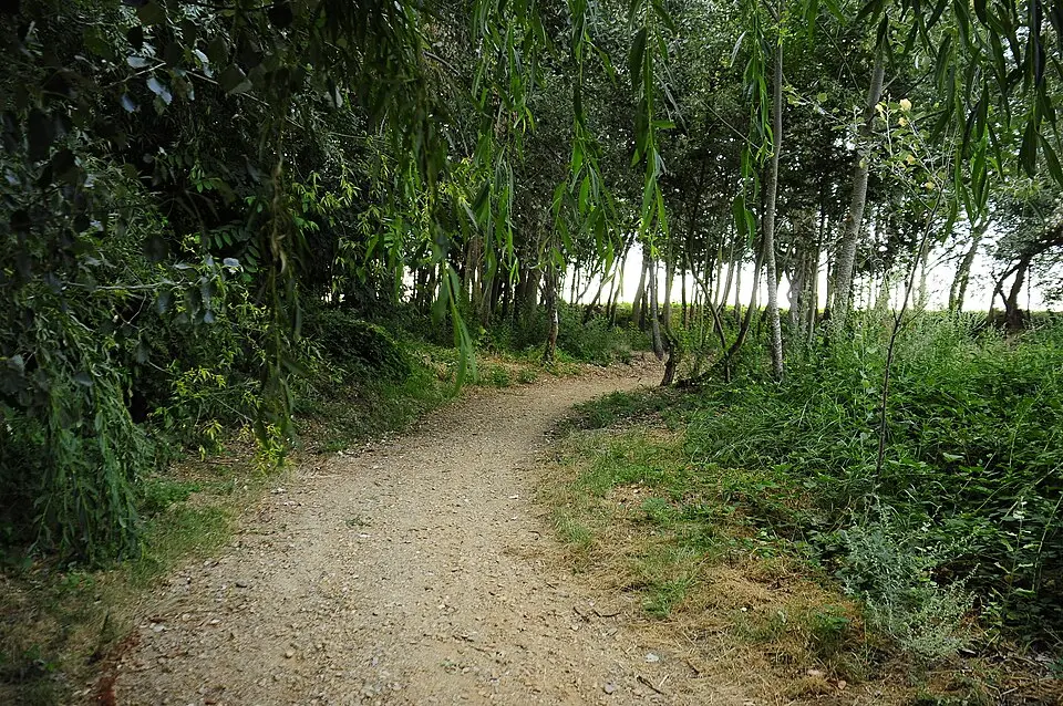 Las Villas