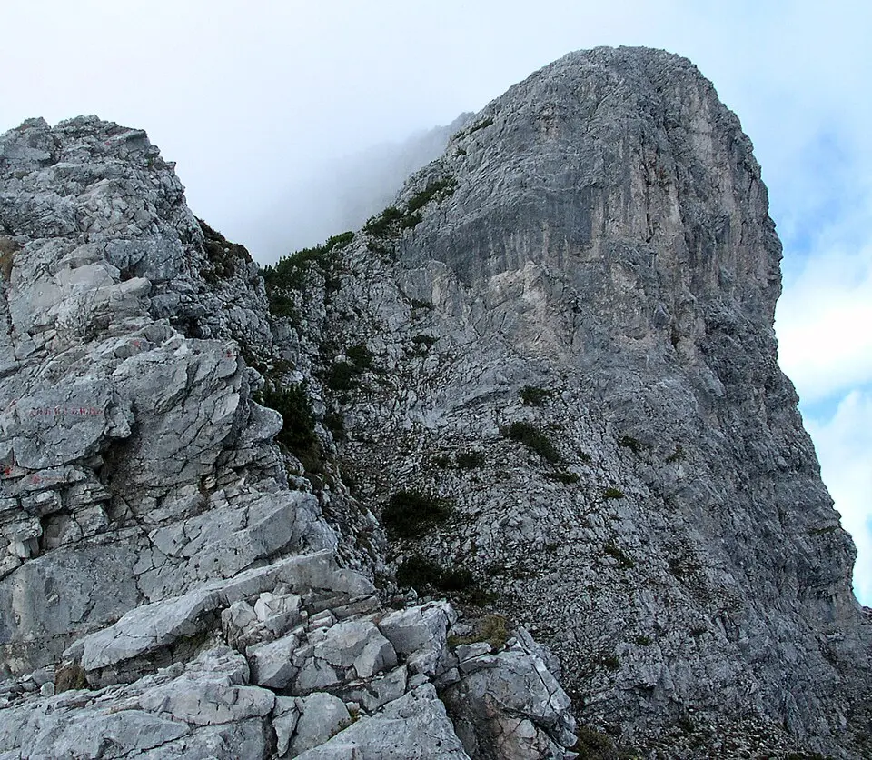 Image: Svíčková · CC BY-SA 3.0 Hundskopf