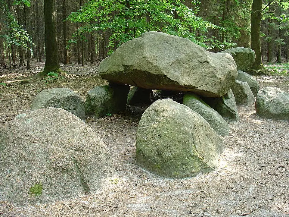 D11