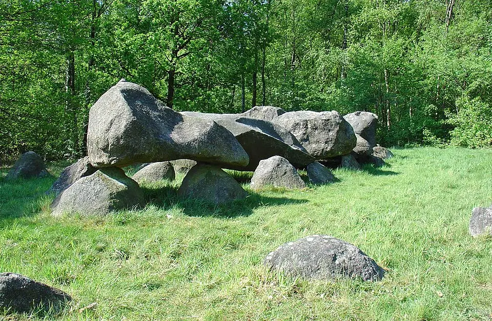 D26