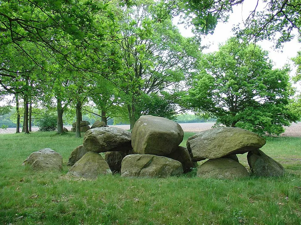 Terrein met de hunebedden D28 en D29