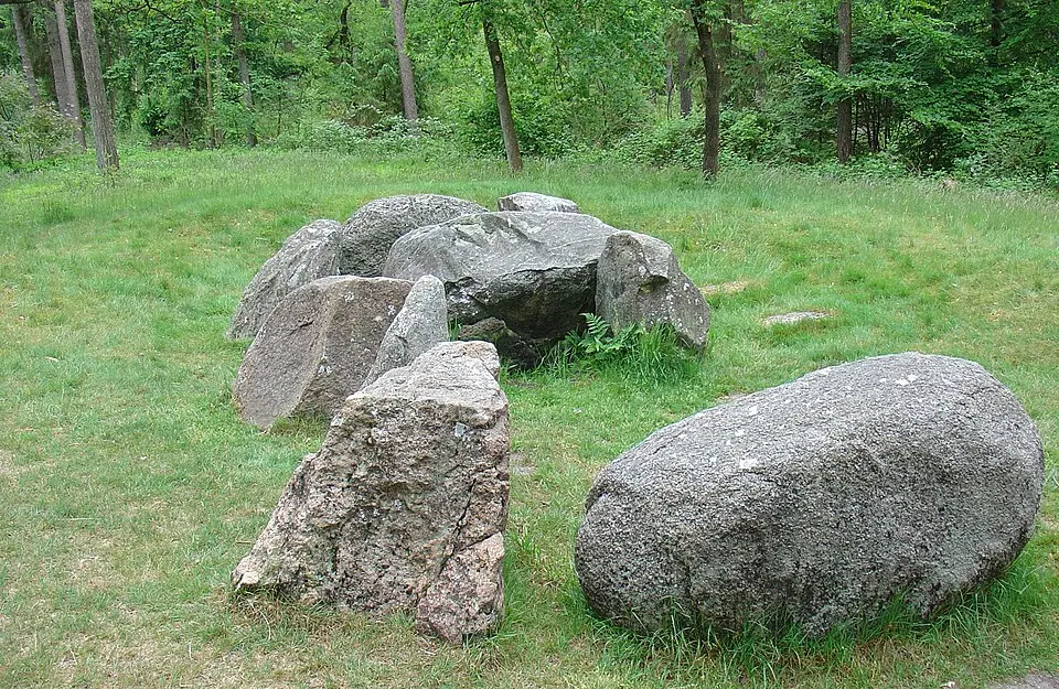 D31