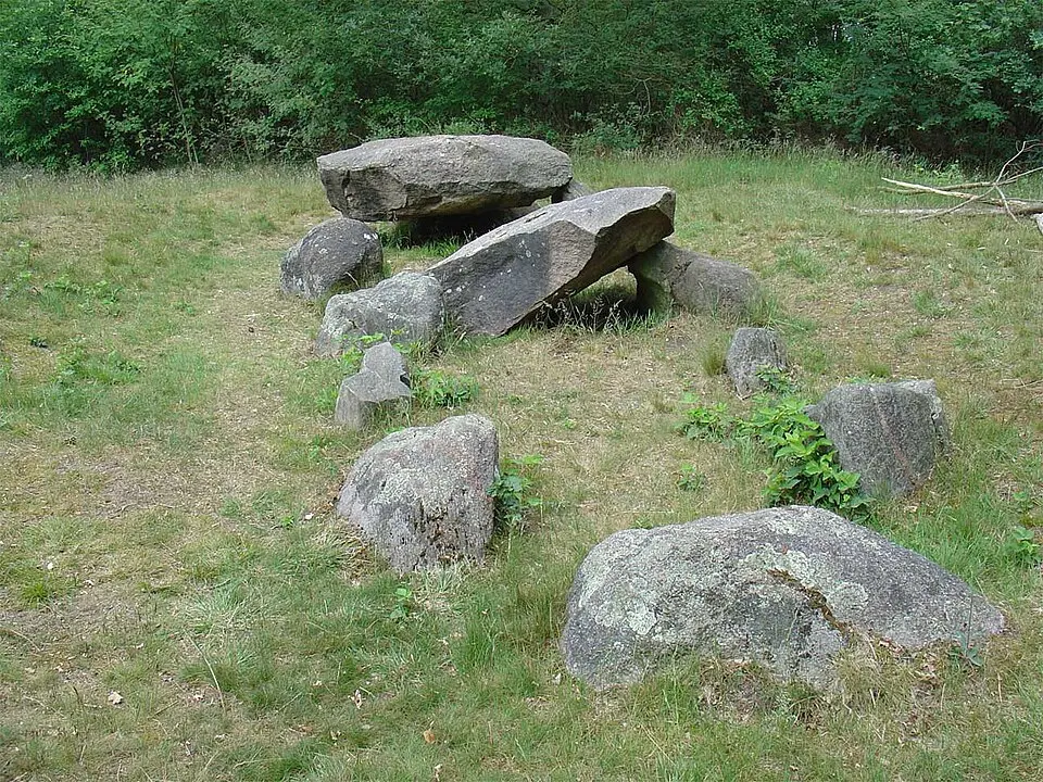 D35