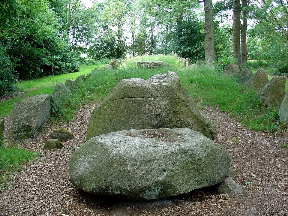 D43
