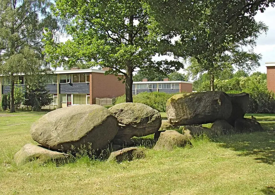 D46