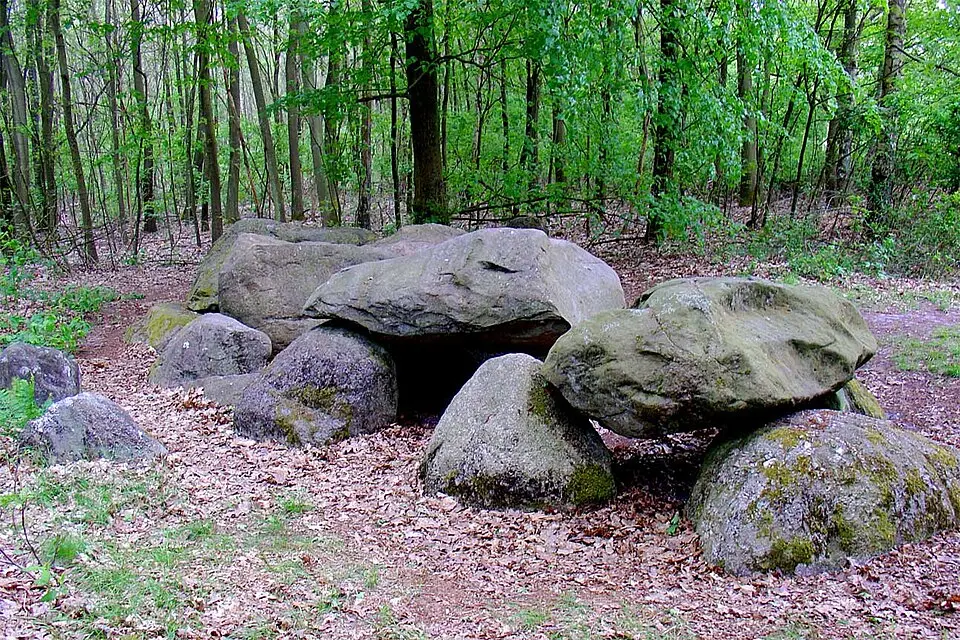 D7