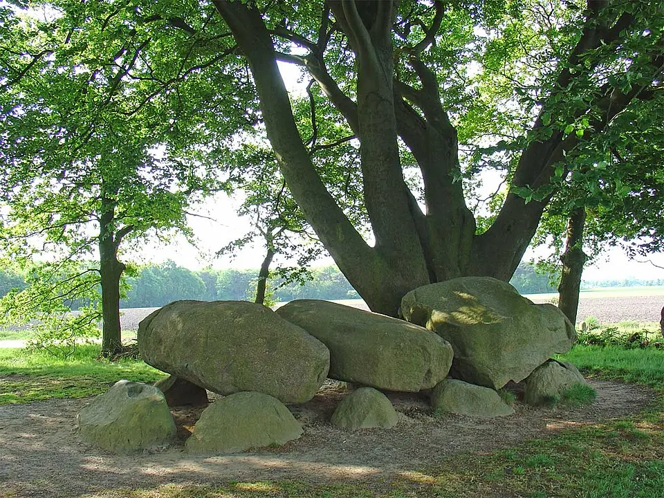 Terrein met de hunebedden D21 en D22