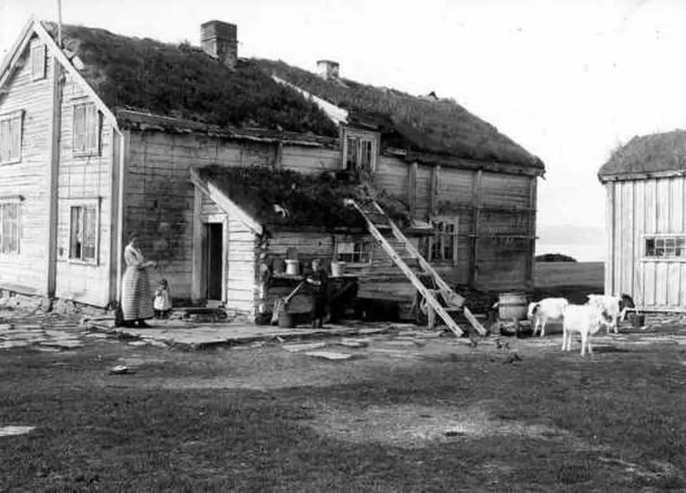 Tamsøya