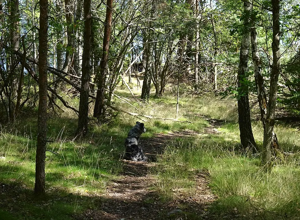 Husby naturreservat