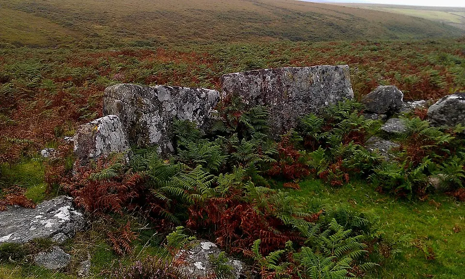 Prehistoric settlements, fields and enclosures within the Shapley Common coaxial field system, 770m south of Challacombe Cross