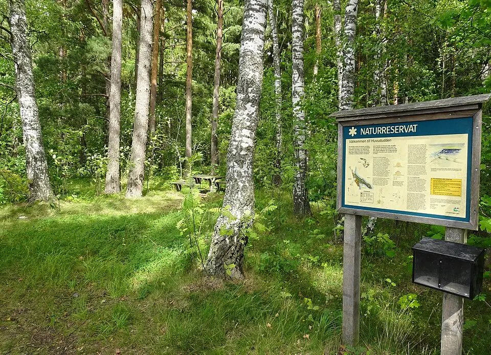 Huvududdens naturreservat