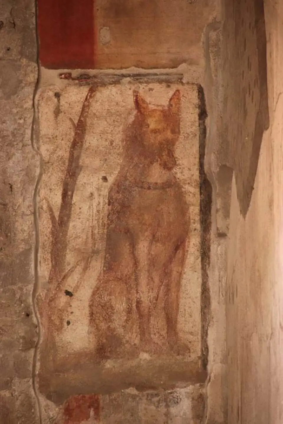 caupona di Sotericus (I.12.3)