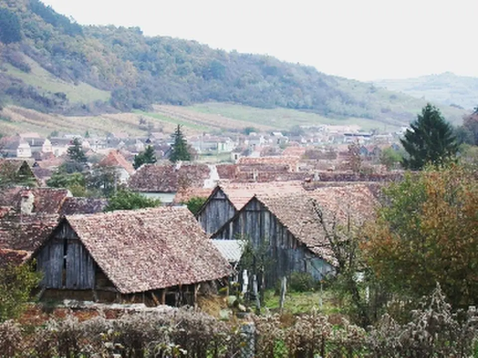 Iacobeni