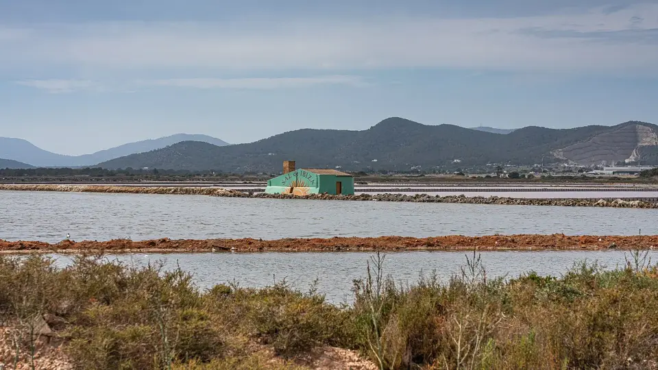 Ses Salines d'Eivissa i Formentera