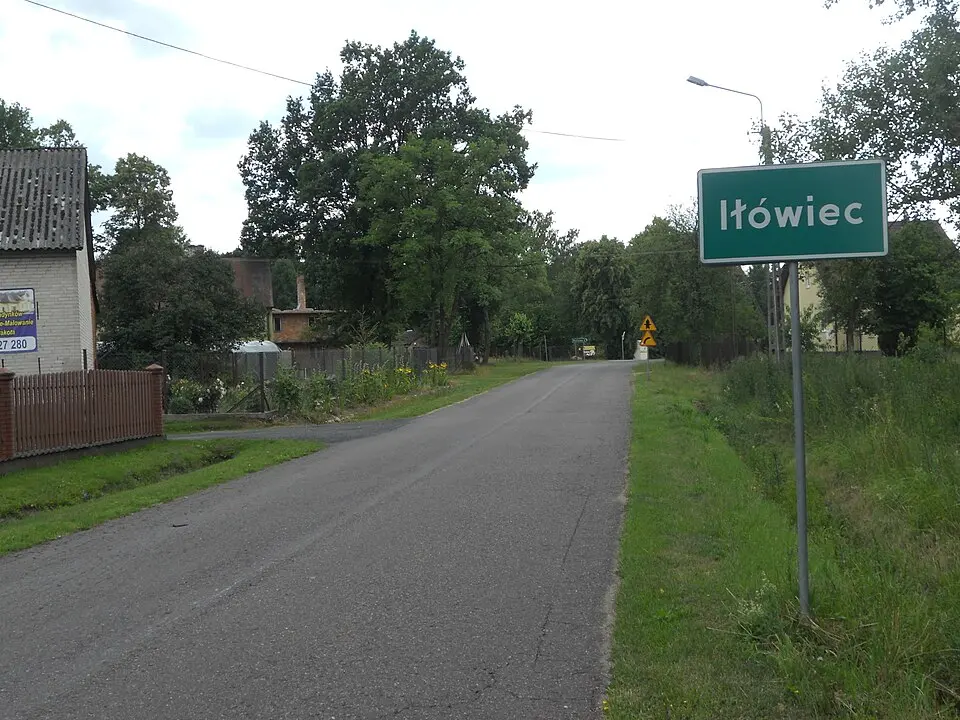 Iłówiec