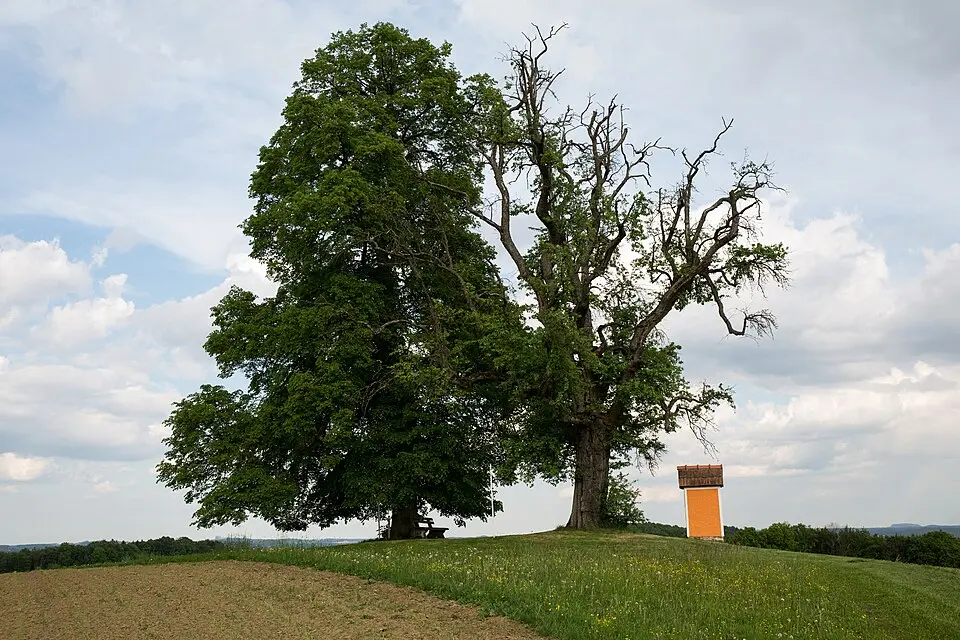Neuberg