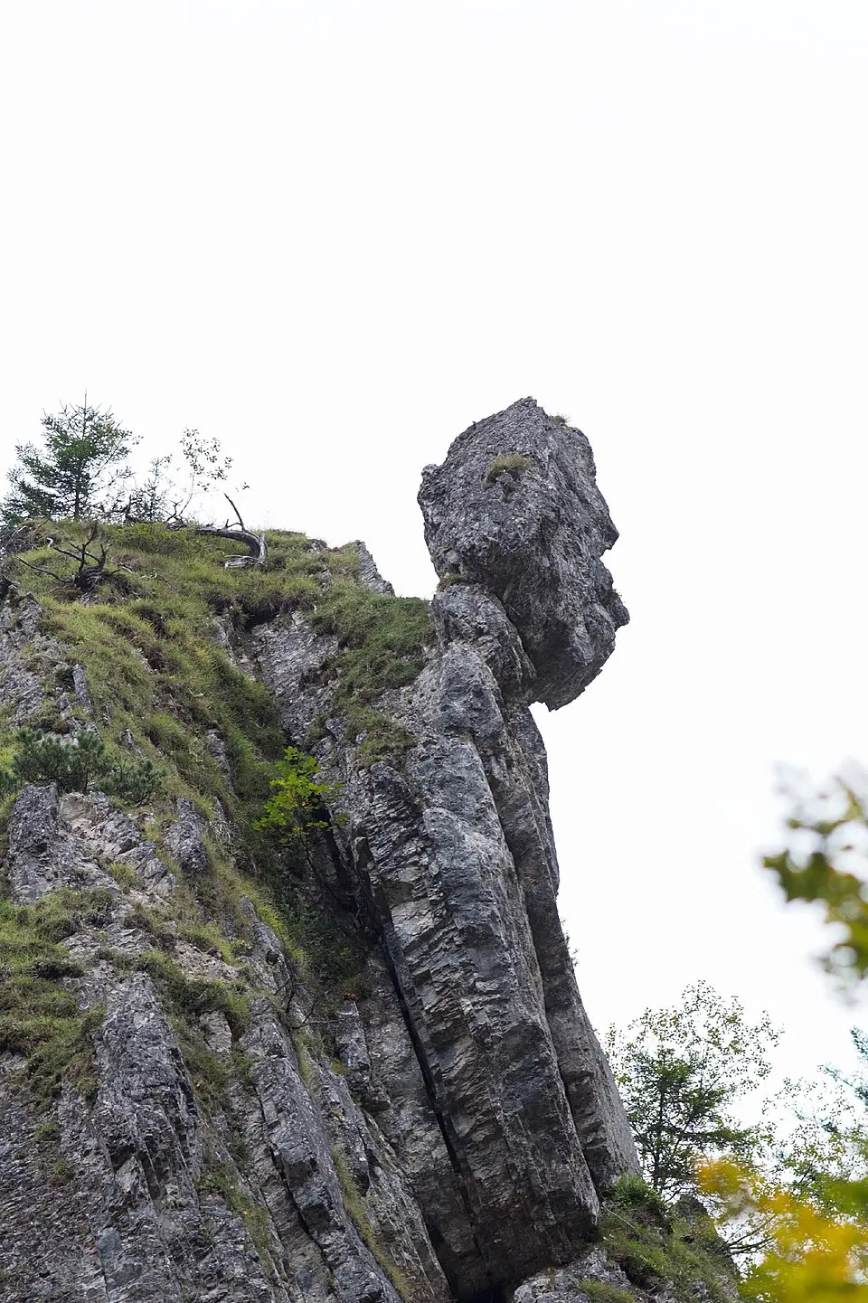 Türkenkopf