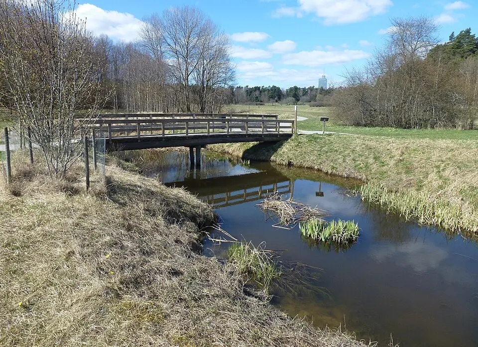 Igelbäcken i Solna naturreservat
