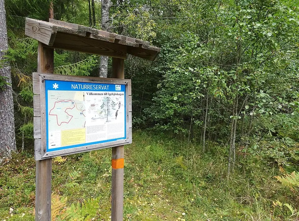 Igelsjöskogen