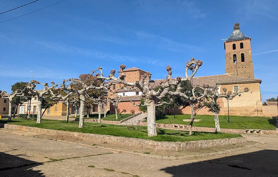 Calzada del Coto