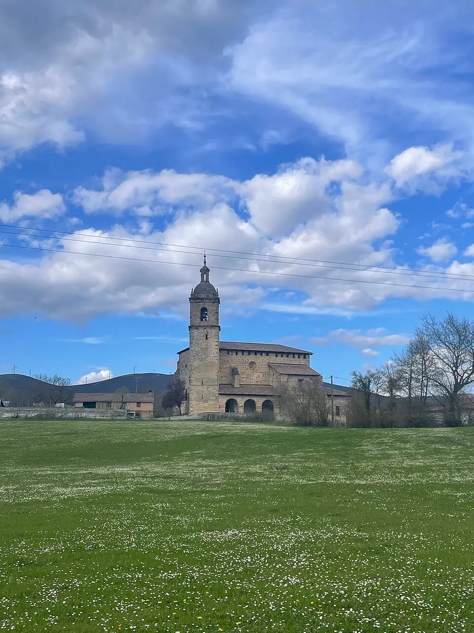 Larrea
