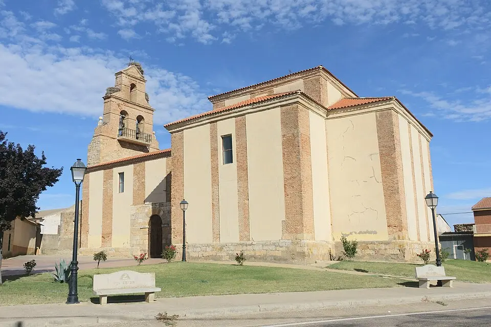 Cañizo
