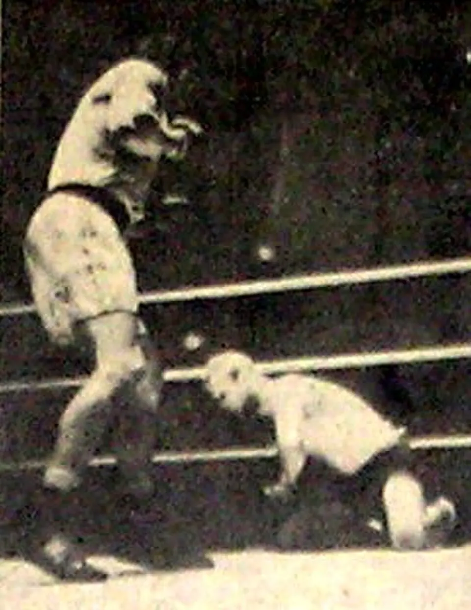 Olympische Sommerspiele 1948/Boxen