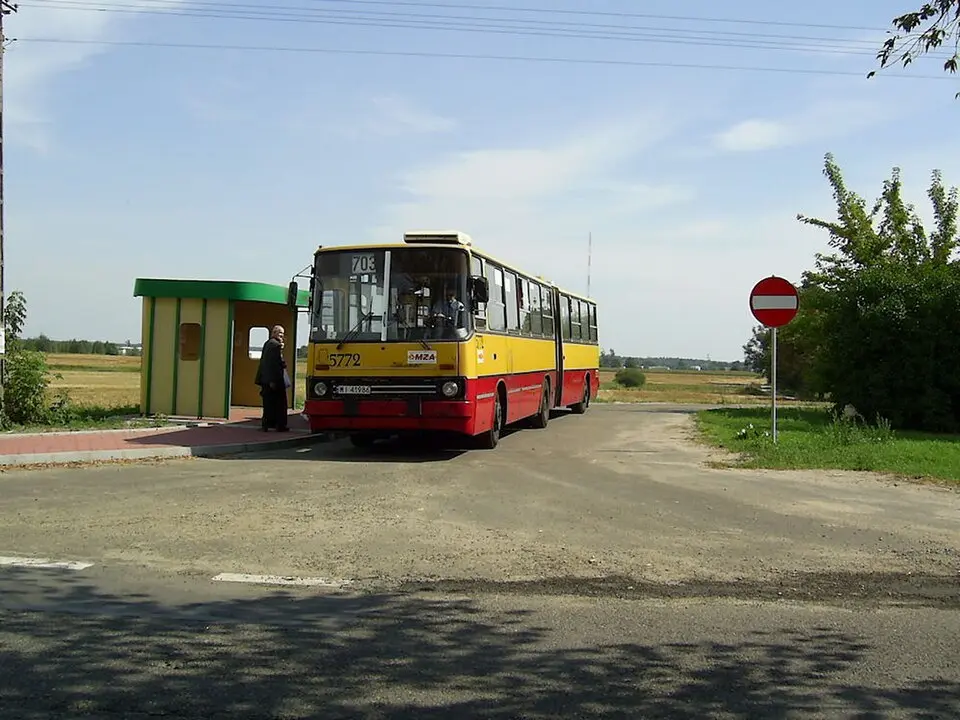 Szamoty