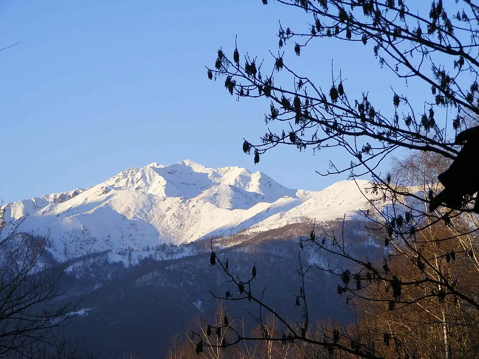 Monte Bo