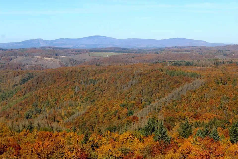 Harz