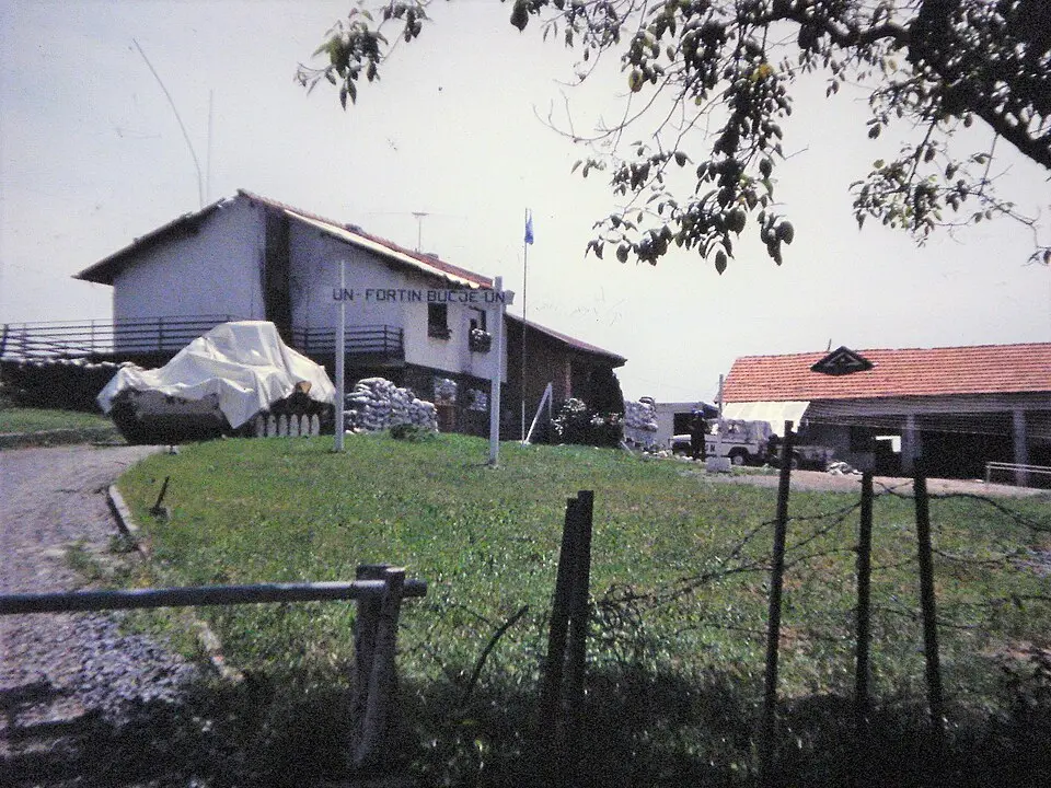 Bučje