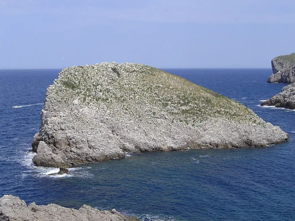 Isla de la Pedrosa