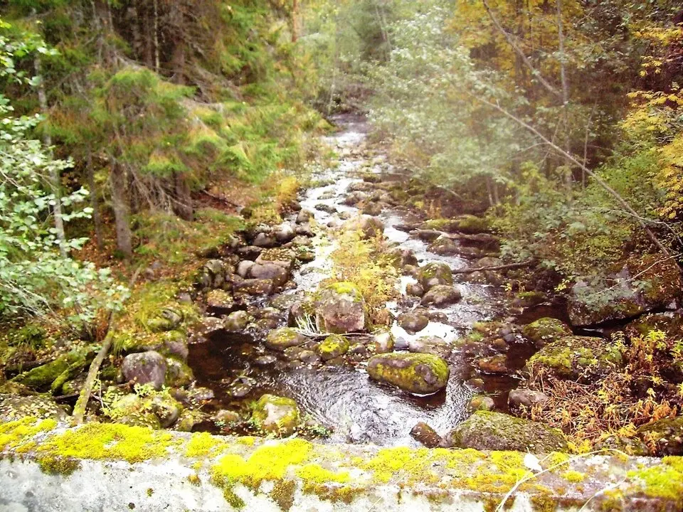 Ilmeenjoki