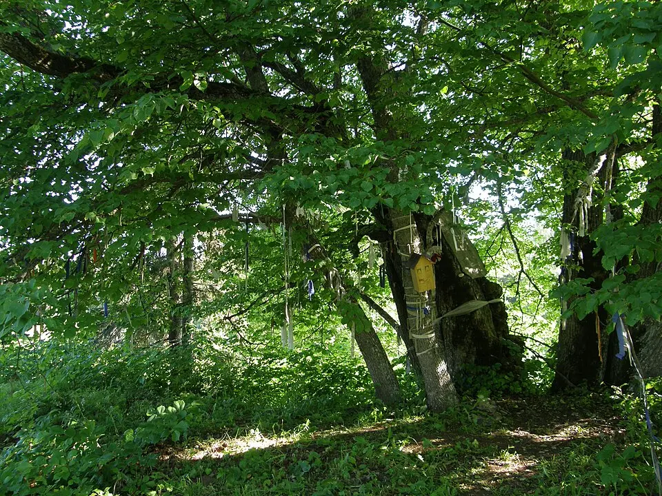 Ilumäe