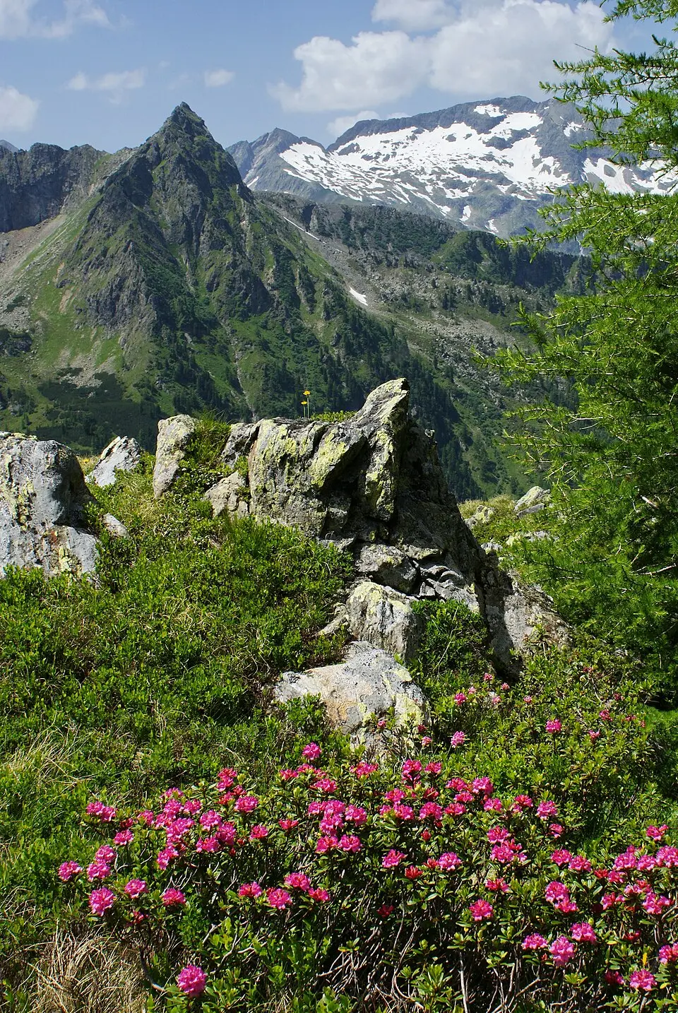 Bild: Ewald Gabardi · CC BY-SA 3.0 Hochgang