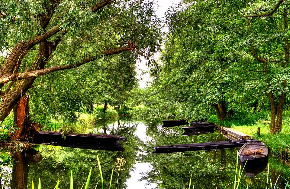 Spreewald