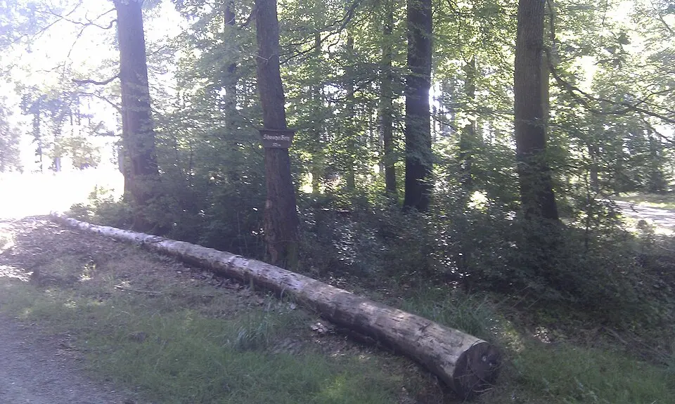 Schwarzer Berg