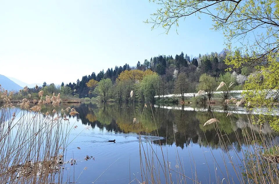 Biotopo Lago Pudro
