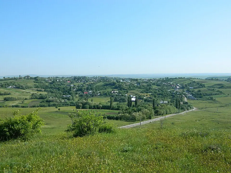 Horodniceni