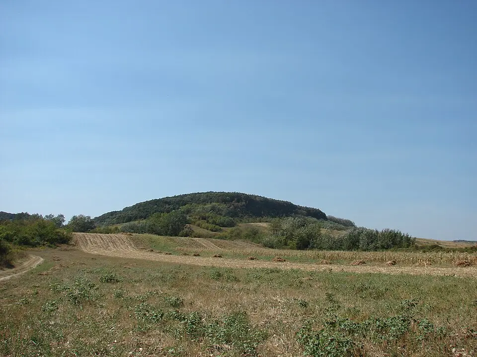 Coțofenii din Dos