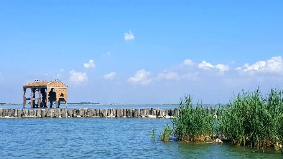 parco regionale del Delta del Po