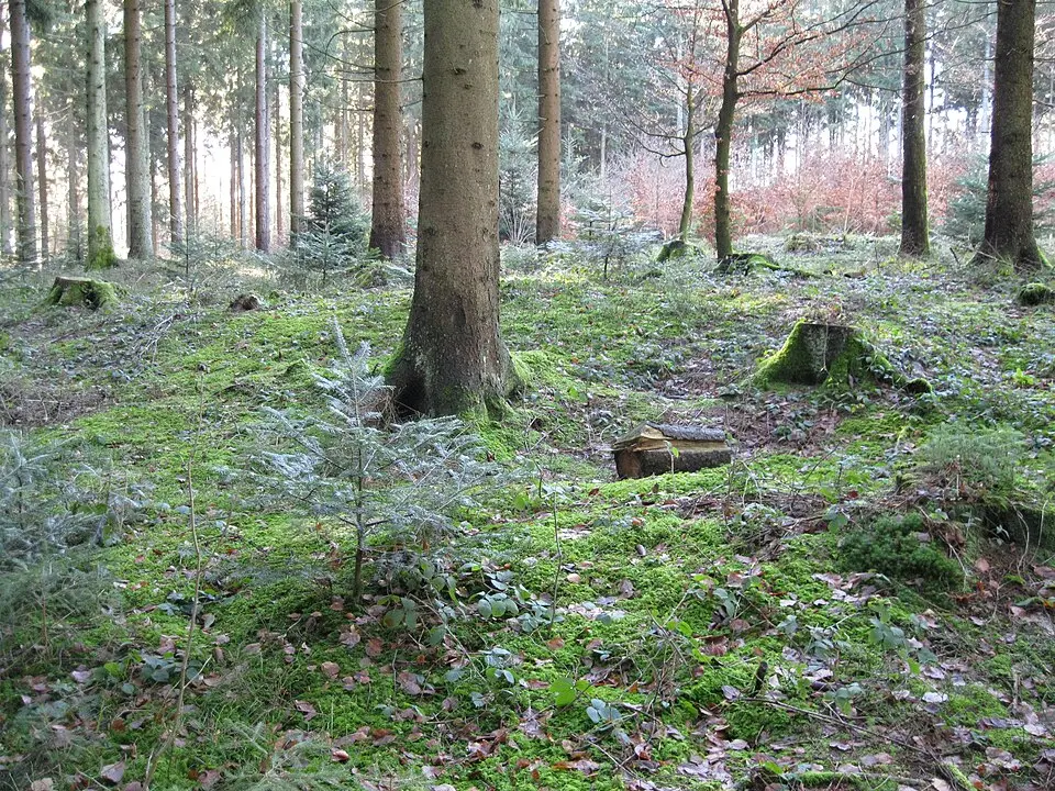 Kleinkastell Ebnisee