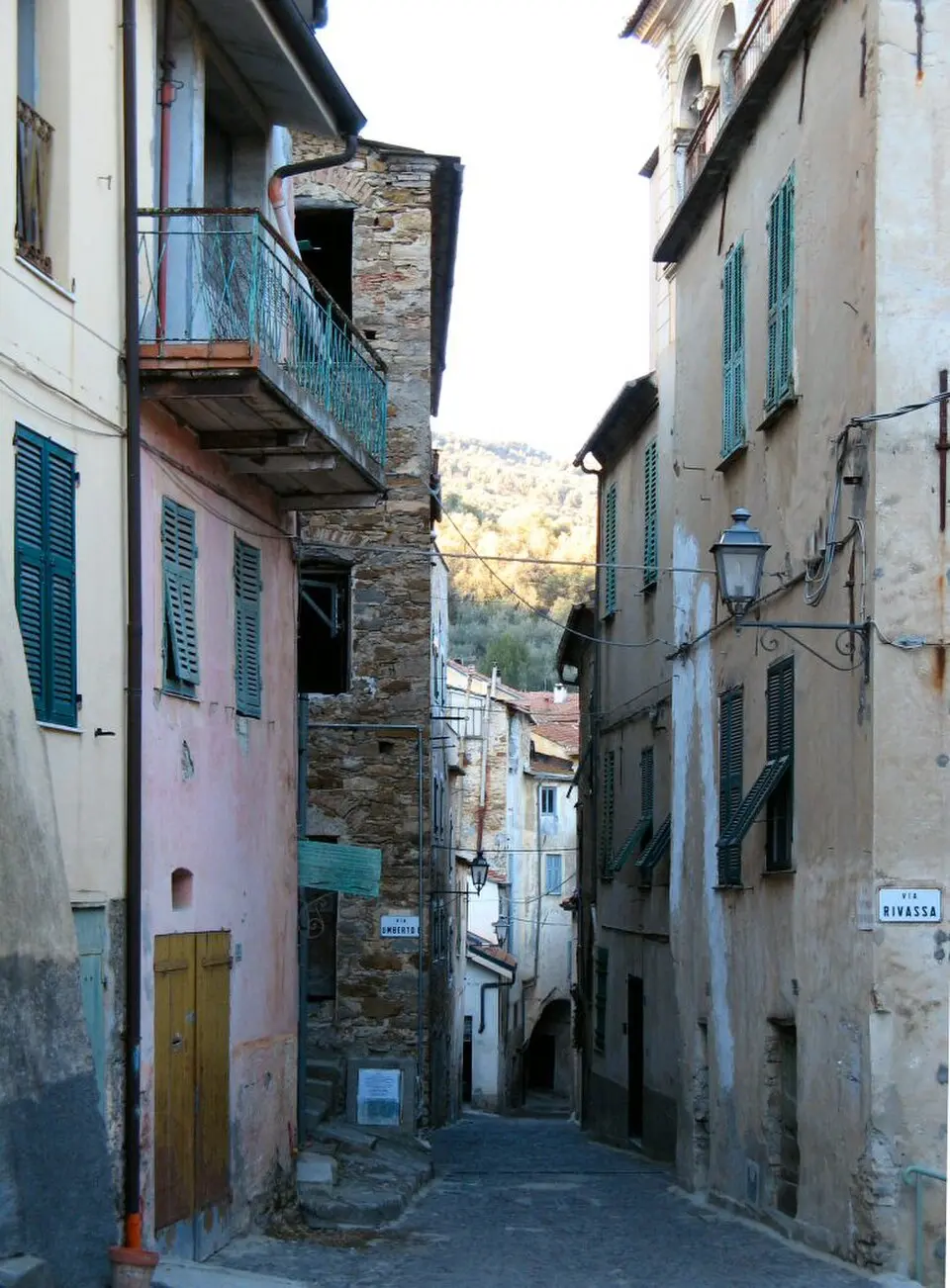 Moltedo