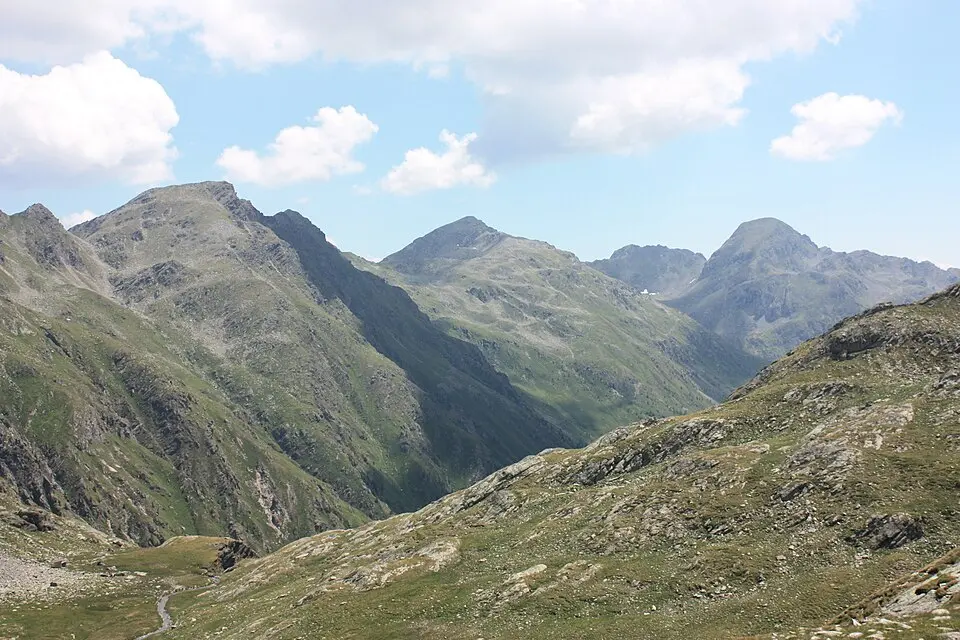 Plattachkopf