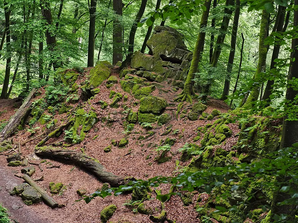 German-Luxembourg Nature Park