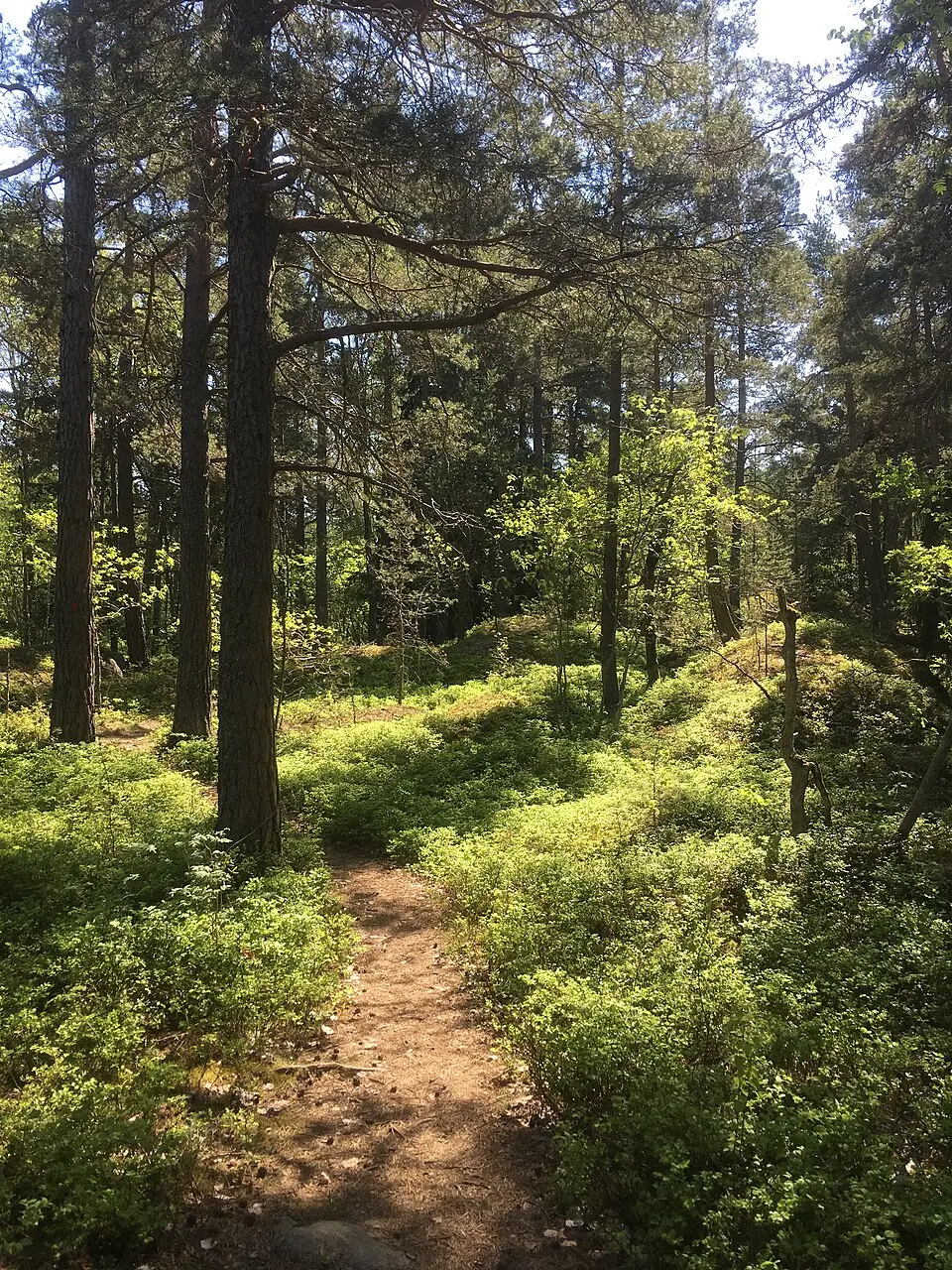 Bogesundslandets naturreservat