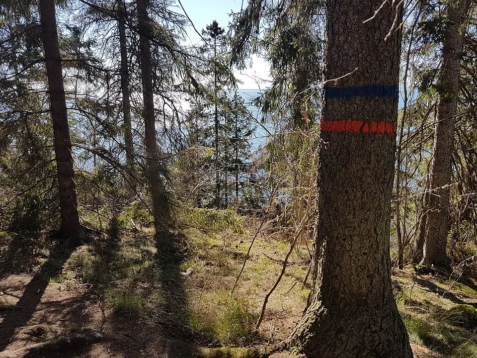 Ombergs bokskogs domänreservat