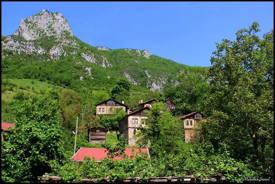 Çaydüzü