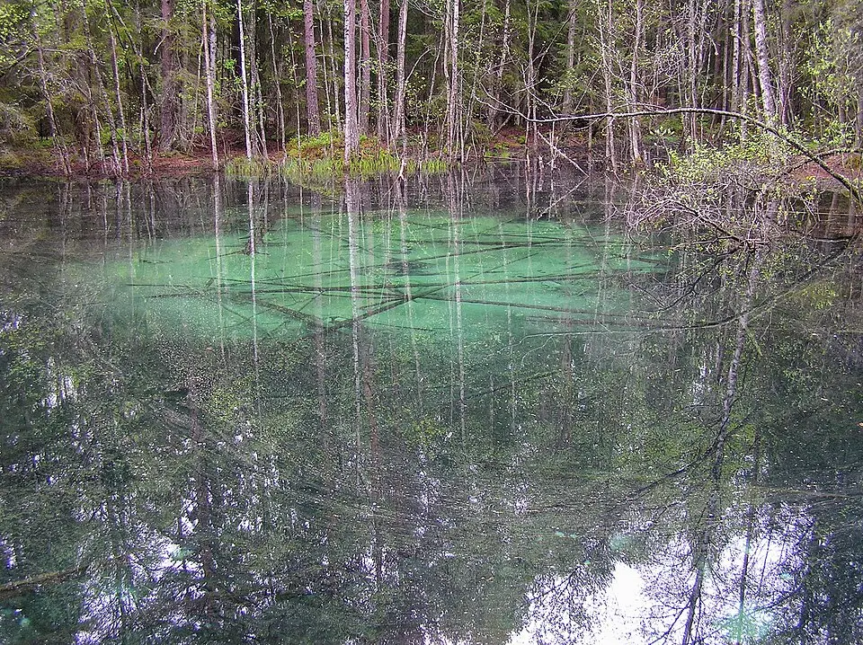 Ingbokällornas naturreservat
